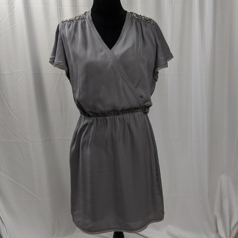 Banana Republic Silver Cocktail Dress